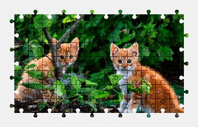 Пазлы Онлайн Котёнки