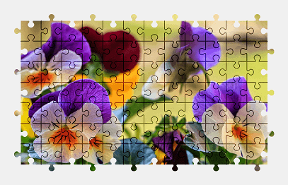 Пазлы Онлайн - Фиалки