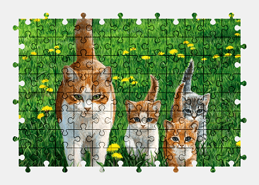Пазлы Онлайн Кошки