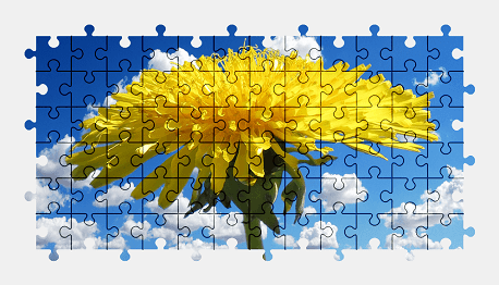 Пазлы Онлайн Цветок